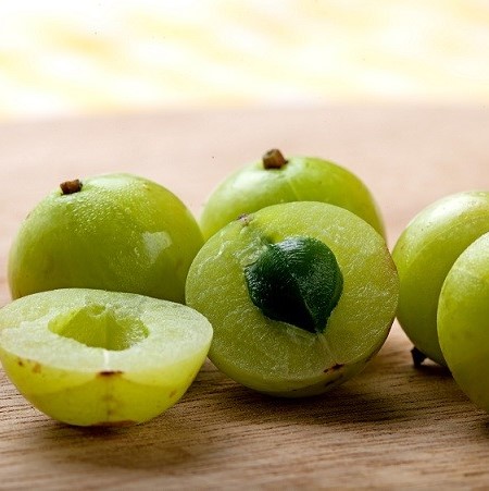 TERRAXA Matcha & Nahrungsergänzungsmittel – Bild 6